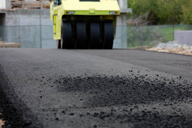 Best Driveway Repair Near Me  in Bloomfield, MO